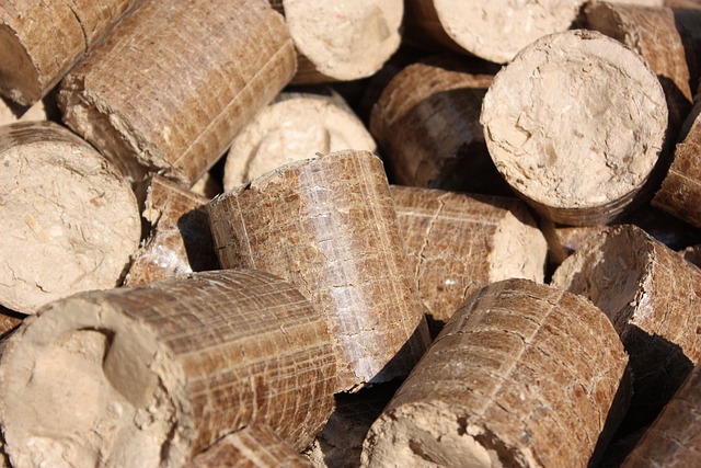Wood briquettes close up