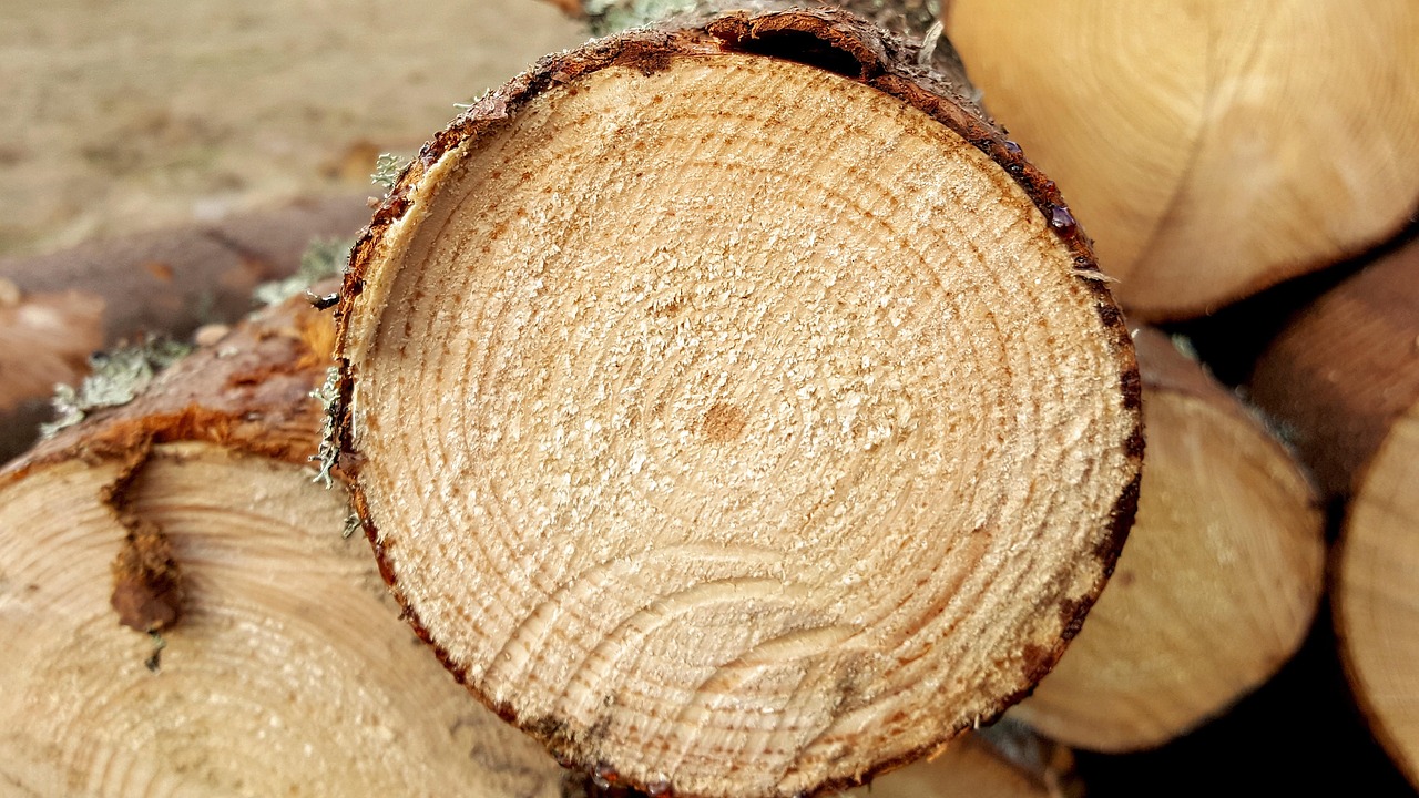 Raw log ends stacked at intake